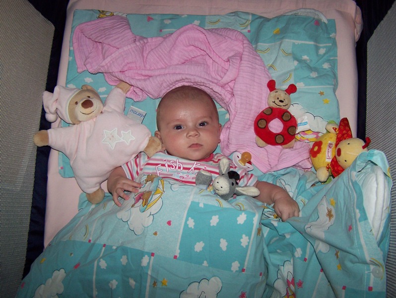 2007(30)