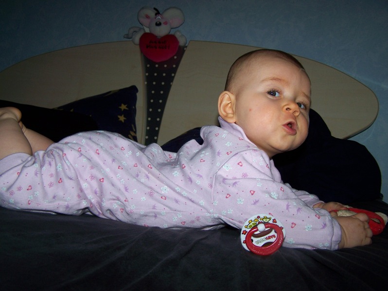 2007(53)