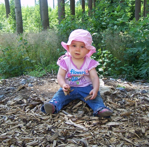 2008(36)