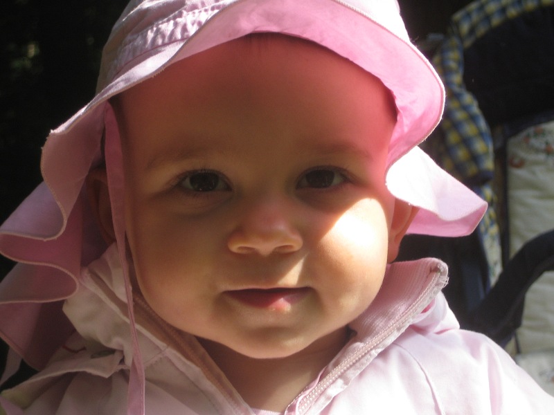 2008(48)