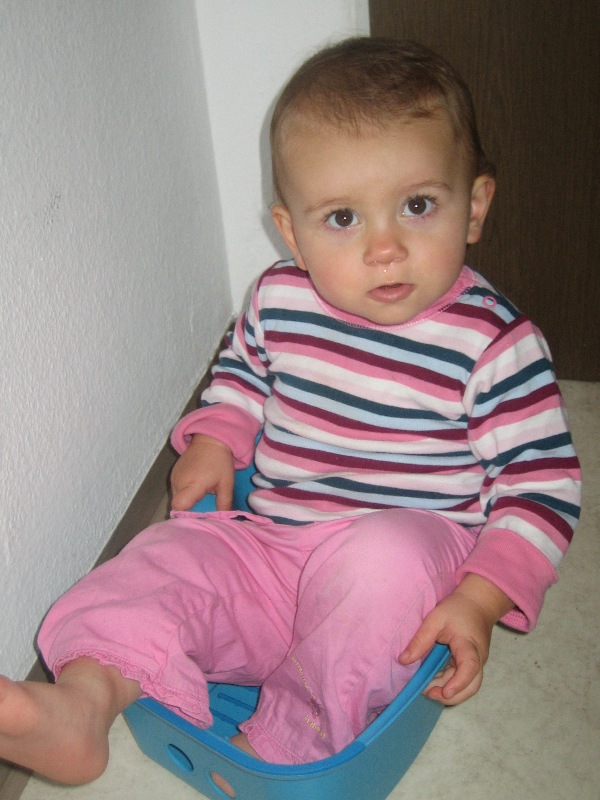 2008(55)