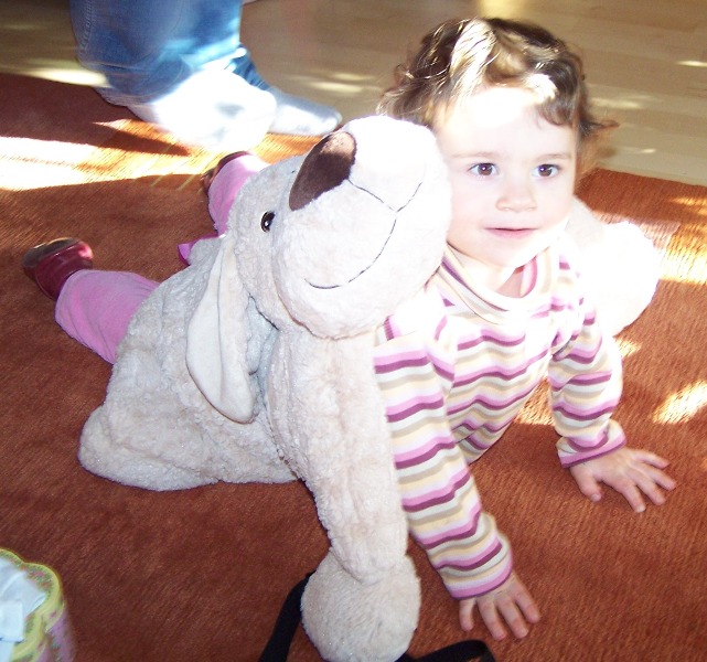 2009(95)