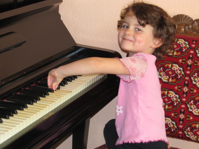 2011(132)
