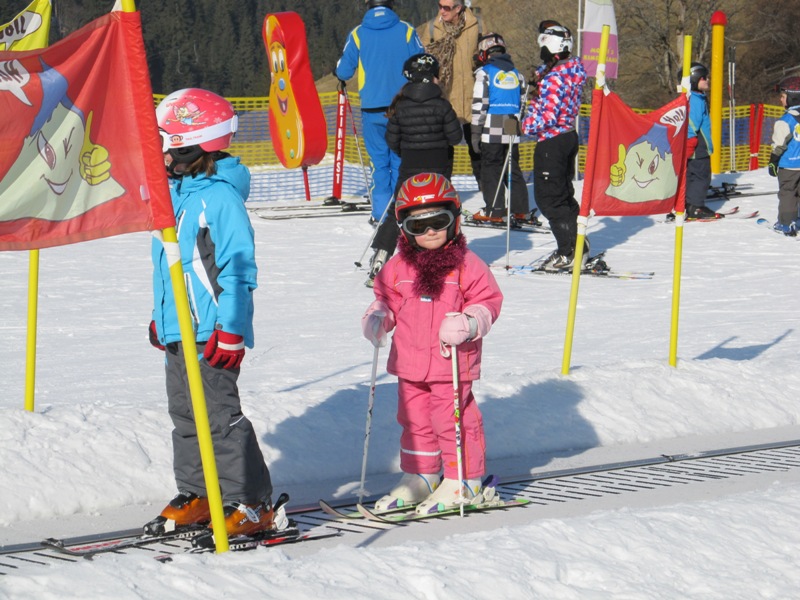 2011(23)