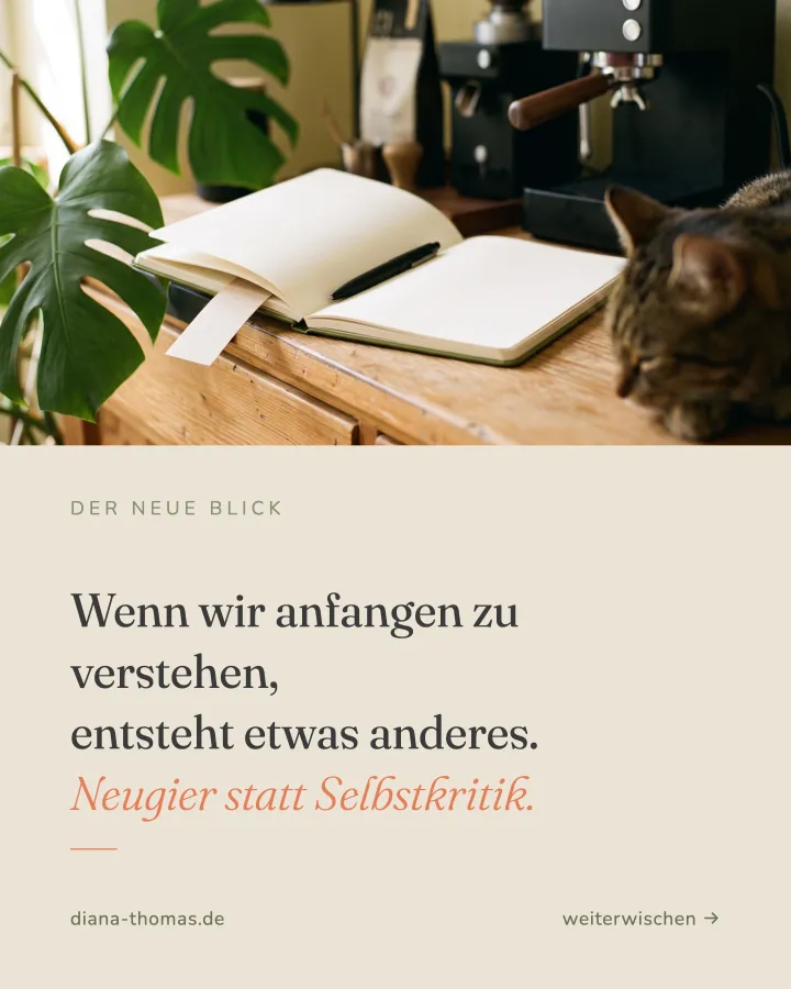Karte 5 von 8 aus der Kartenstrecke zu diesem Beitrag