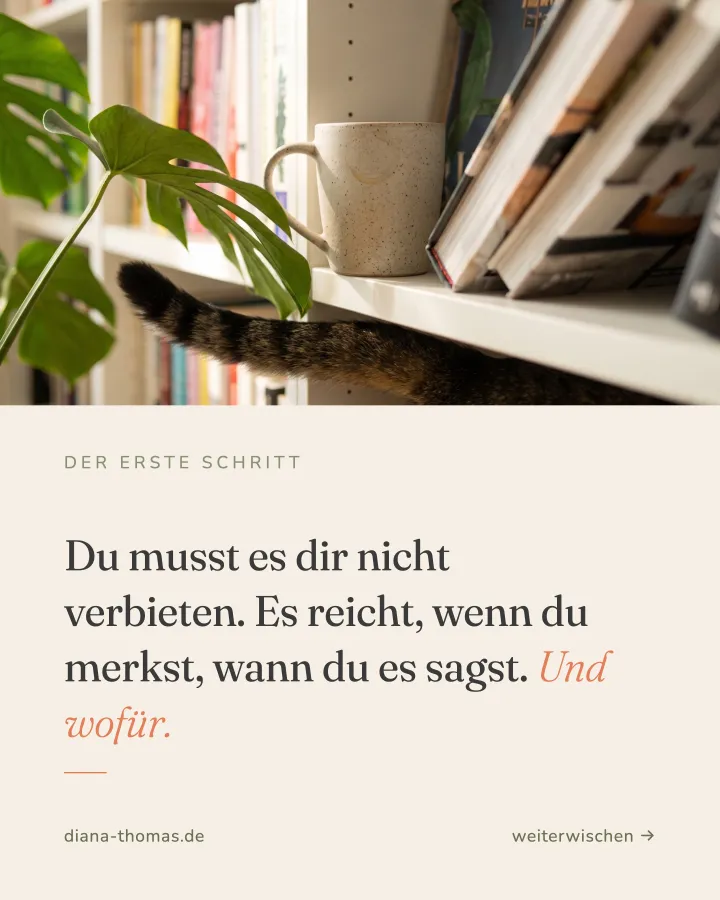 Karte 7 von 8 aus der Kartenstrecke zu diesem Beitrag