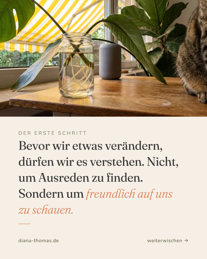Karte 7 von 8 aus der Kartenstrecke zu diesem Beitrag