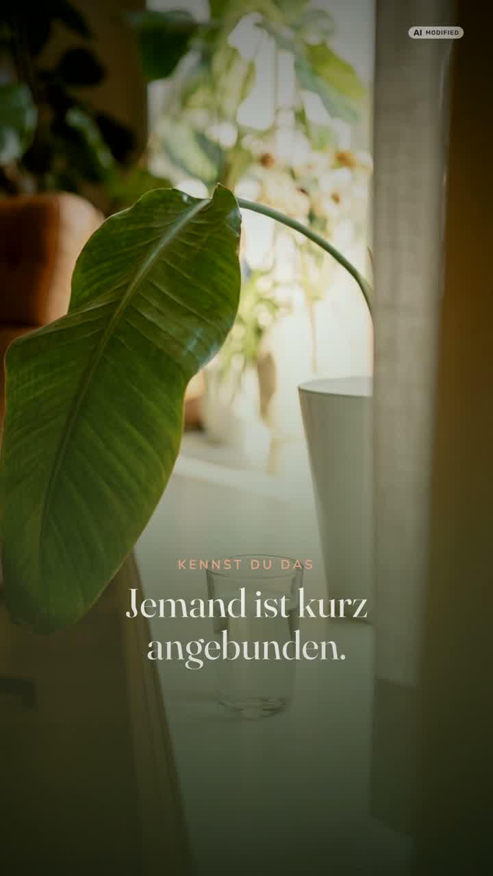 Ein Buch mit dem Titel Stille liegt quer in einem hellen Regal, davor große grüne Blätter.